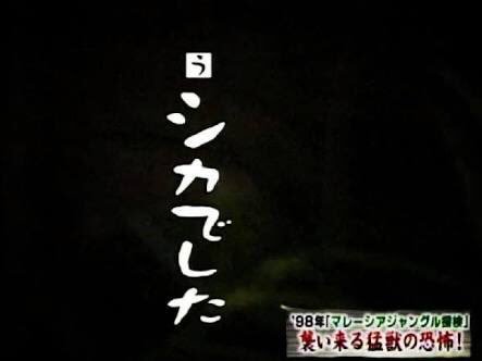 Mach Na Twitteru 先rtを見た一藩士としては この名言 迷言 を言わずにおられませぬ Rt Suidou あっシカだ シカでした T Co 2spsjnf0be Twitter Mach Na Twitteru 先rtを見た一藩士としては この名言 迷言 を言わずにおられませぬ Rt Suidou あっシカだ シカでした T Co 2spsjnf0be Twitter