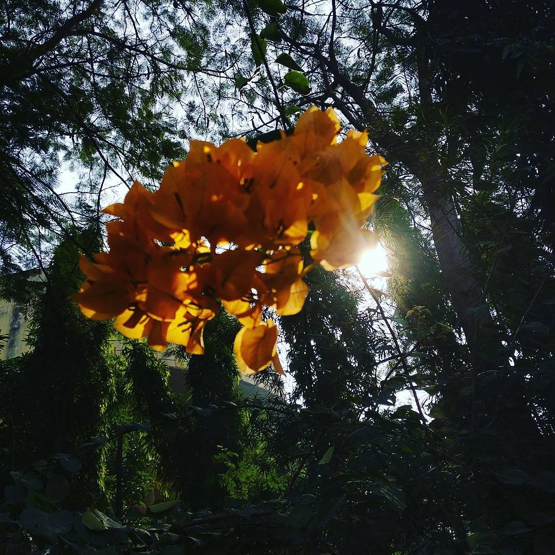 mobiography07's tweet photo. Photo of the day #FridayFeeling  #love  #nikon #smartphonephoto #canon #Sony https://t.co/9ECE9Ls0Fu
