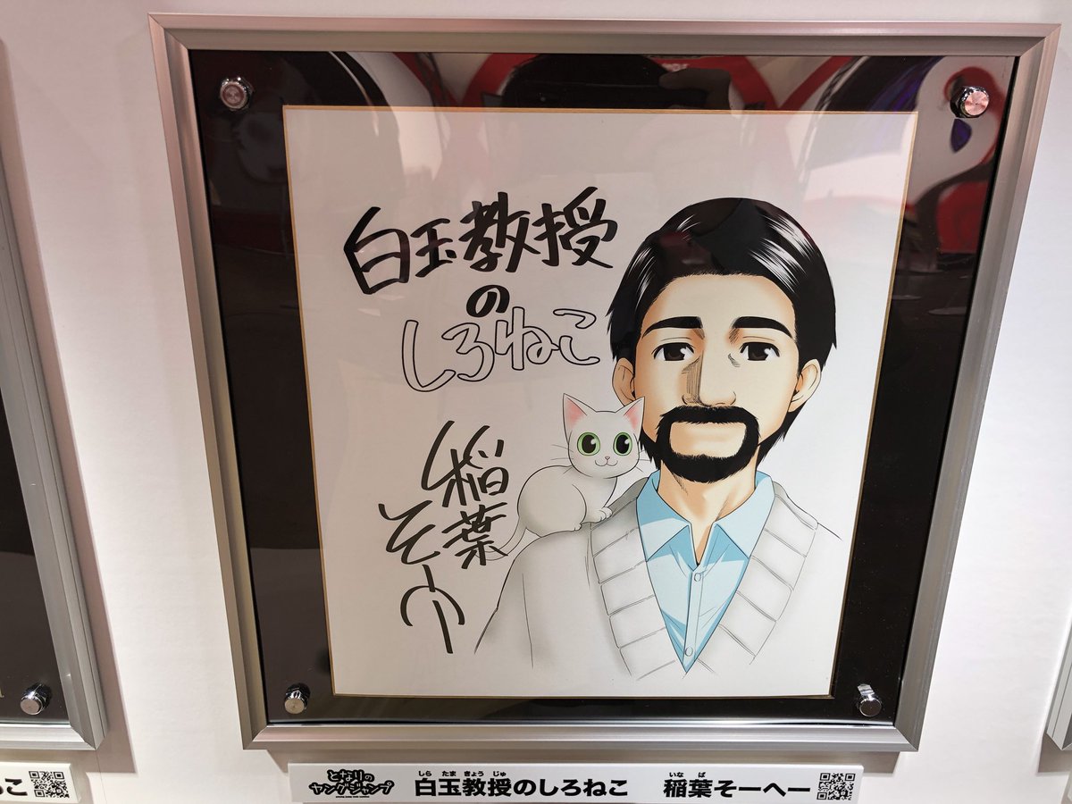 白玉教授のしろねこ