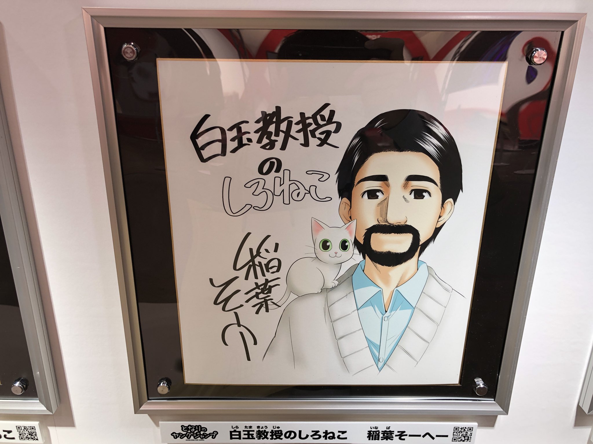 週刊ヤングジャンプ編集部 ジャンプフェスタ ヤングジャンプ となりのヤングジャンプ 白玉教授のしろねこ 稲葉そ ーへー先生のサイン色紙 本誌で しらたまくん の連載終了後 しゃべる仔猫 シロくんの物語を連載中 T Co Vq5okjgr3p 週刊ヤングジャンプ編集部 ジャンプフェスタ ヤングジャンプ となりのヤングジャンプ 白玉教授のしろねこ 稲葉そ ーへー先生のサイン色紙 本誌で しらたまくん の連載終了後 しゃべる仔猫 シロくんの物語を連載中 T Co Vq5okjgr3p