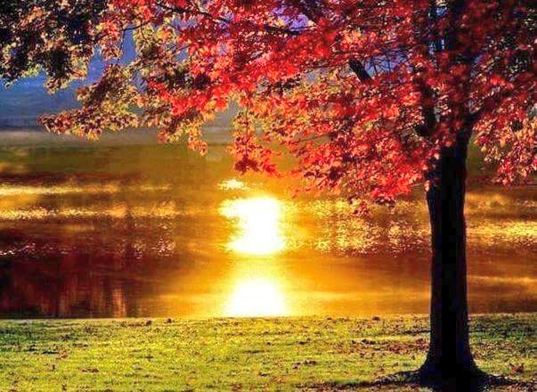 @VeronicaScherz1 @dhriti_kala @metalalien <a href="/AMK_21/">Amar Kala</a> <a href="/noka35520398/">no ka</a> @BiancaMaria166 @Dreamchasersagi <a href="/vyaskp/">käpîl🐧</a> @ps7615169 <a href="/MelamuMalik/">Malik MELAMU</a> <a href="/InnPeggy/">🌹Peggy Inn🌹</a> @lena_bambee @peacelover_100 @Shadow135Simmi <a href="/victorianoffner/">Victorian, Michael Jackson Fan</a> <a href="/srinualme/">Srinual Meepengjan</a> 🍃🍂🍃Have an awesome week Veronica🍃🍂🍃

#ThankYouAlways #weekendvibes