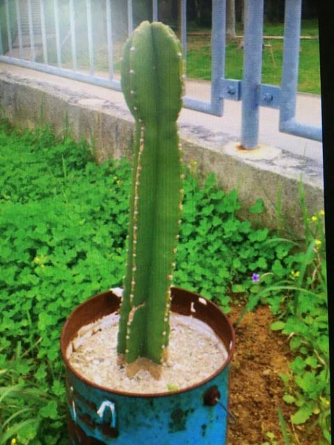 continue1007's tweet image. 