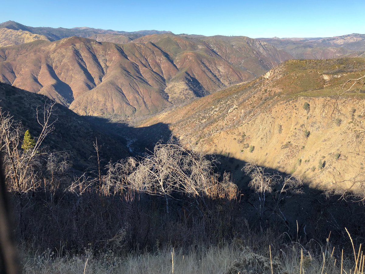 Submitting a photo from today to help crowdsource images of fire recovery over time (rimfire.whollyh2o.org) #rimfire01