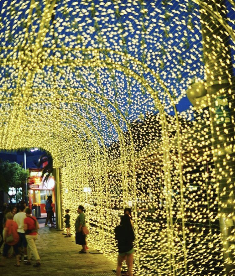 CityofPerth's tweet photo. Due to the severe weather warning the Christmas Light Trail installations will be switched off tonight. 
The lights will be back on again tomorrow from 6pm 🎄
📷 IG/perthmama https://t.co/demTObhpoO