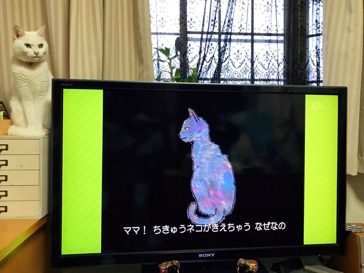 O Xrhsths 眉子 Sto Twitter 地球ネコが流れてる間テレビの横に移動してきてジッと聴き入っていたうちのネコの様子です O Xrhsths 眉子 Sto Twitter 地球ネコが流れてる間テレビの横に移動してきてジッと聴き入っていたうちのネコの様子です