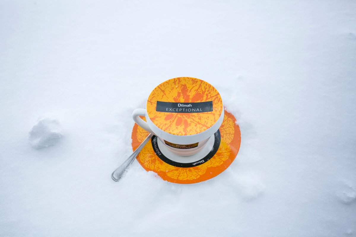 GourmetTea_'s tweet photo. 🍵➡️https://t.co/zEy6O42Tzy
Los mejores momentos se disfrutan con #té... https://t.co/b9N5Zp0VWH