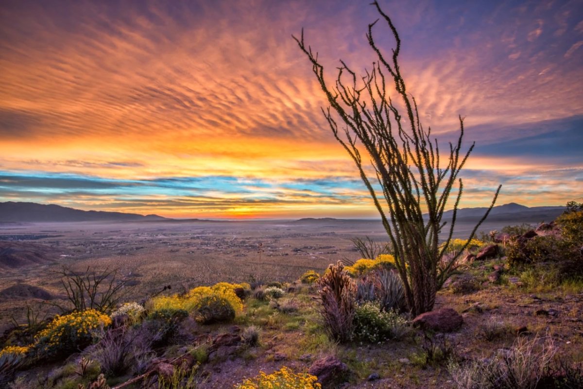 Virgonika's tweet photo. Photographer Dale Johnson (USA) https://t.co/u1D9gI8WiJ #NaturePhotography #landscapephotography #sunsets #sunrises #colorsofnature #sunlightsymphony https://t.co/5q7eKTAoYS