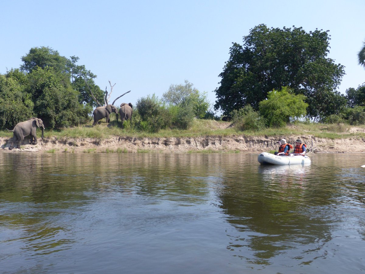 Victoria falls canoeing company Twitter