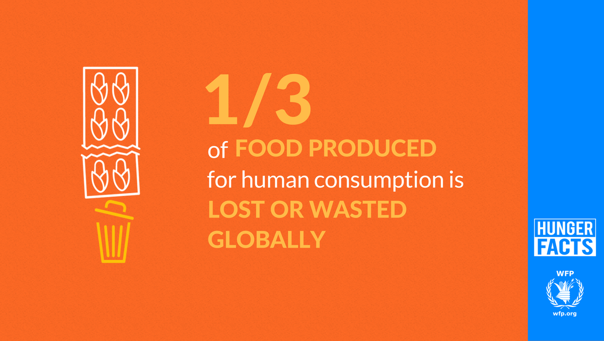 WFP tweet picture