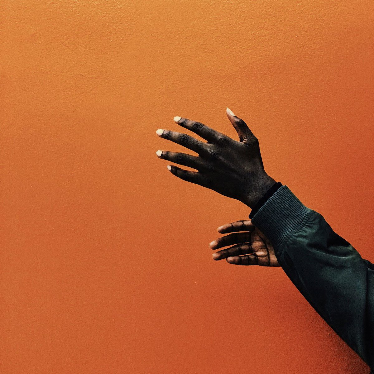 Archillect (@archillect) on Twitter photo 