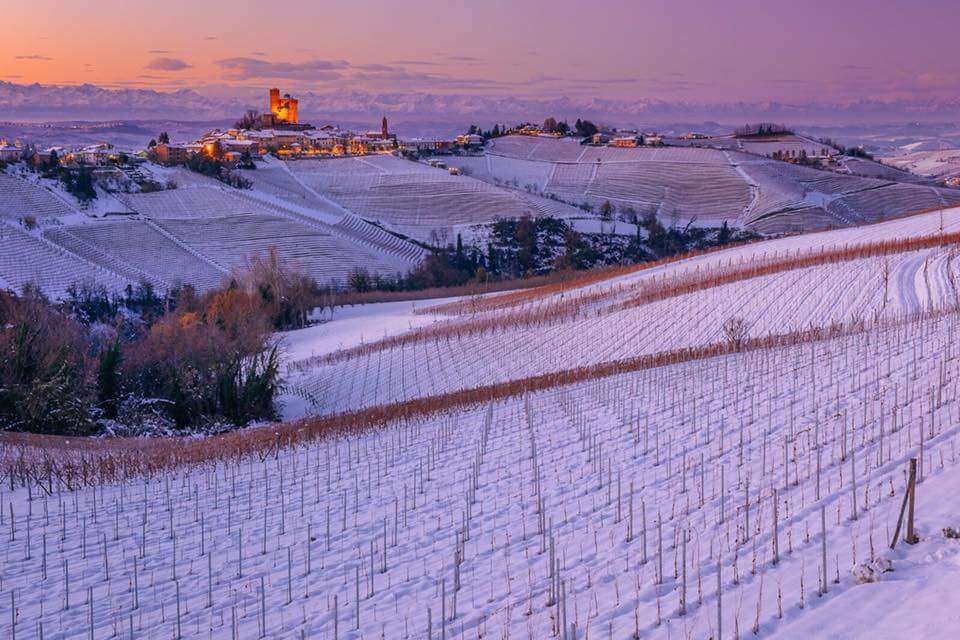 Heerlijke Italiaanse wijnen voor Kerst? baroloandmore.nl