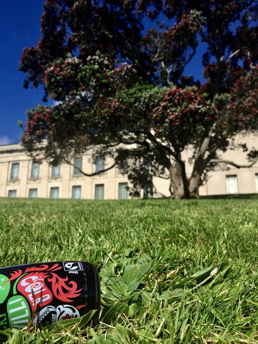 BomCarma's tweet photo. New Zealand summer https://t.co/gB3Ym8KQiA