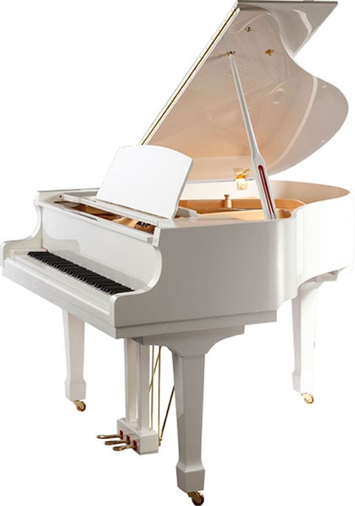 Tesoro Nero (TesoroNeroPiano) Twitter