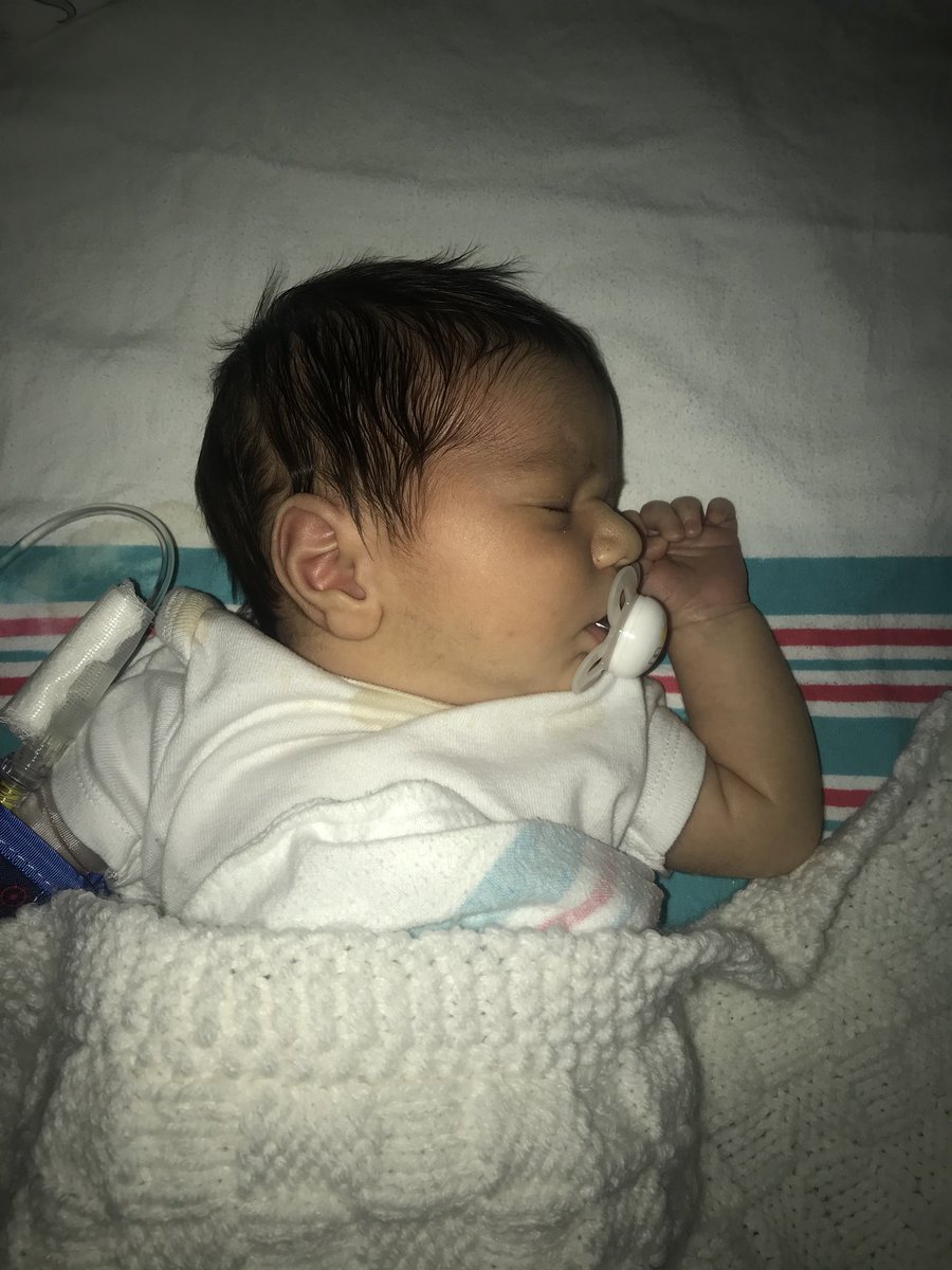 Boulet_Bronte's tweet photo. Our peanut is two weeks old today 😭💙stay little forever please https://t.co/H9jey93Ptj
