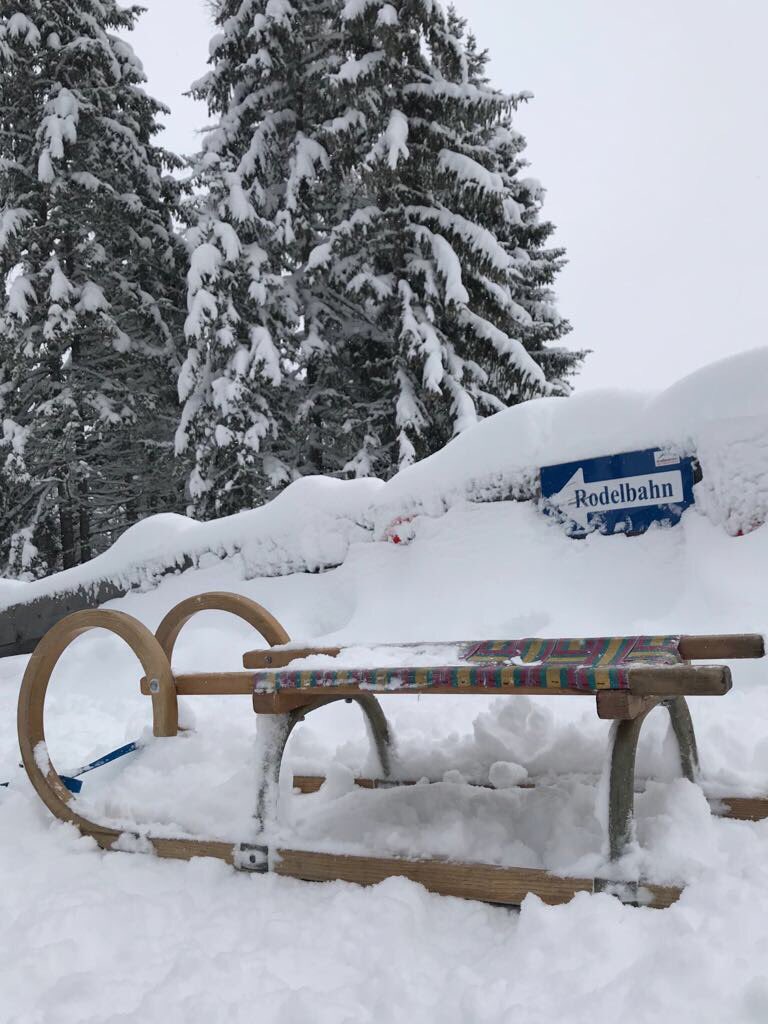 Bijzonderplekje's tweet photo. Het leuke van een stedentrip Innsbruck? Wintersport én stad gecombineerd! Kerstsfeer opsnuiven en sleetje rijden ⛄️😍❄️🛷#myinnsbruck @InnsbruckTVB https://t.co/GF5dIyJrZO