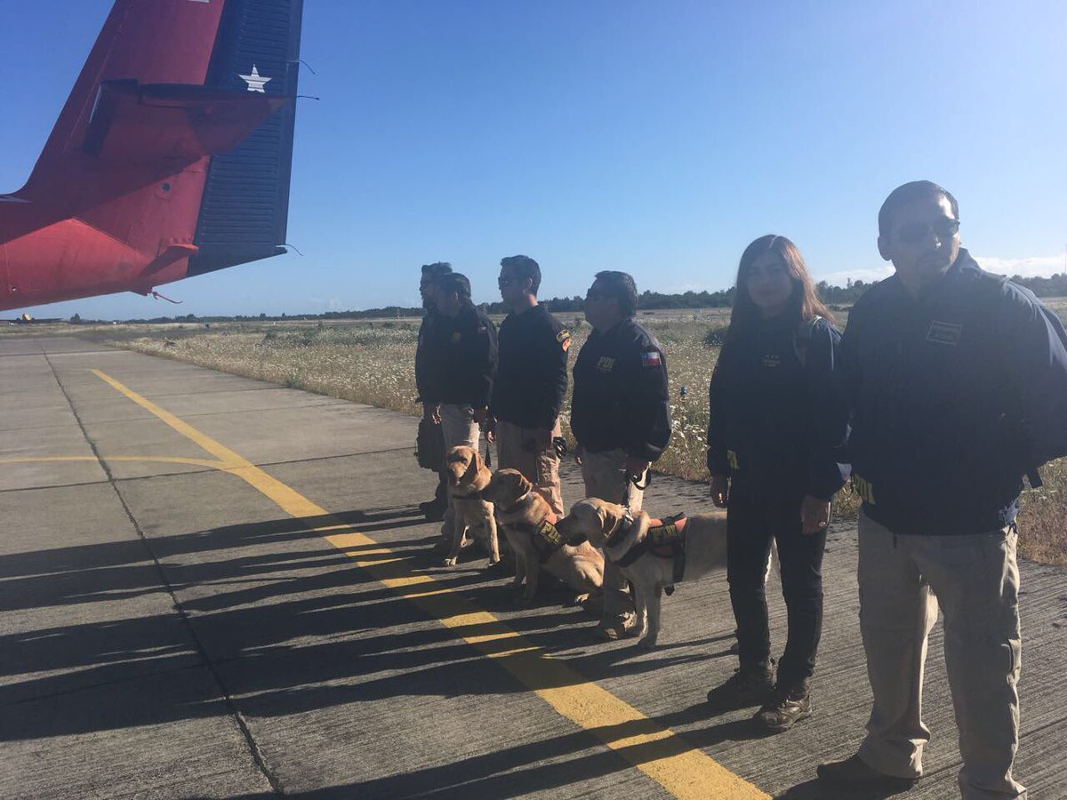 FACh_Chile's tweet photo. Tripulación #FACh trasladó a funcionarios de la @PDI_CHILE con perros de la Brigada de Adiestramiento Canino para apoyar la búsqueda de personas en zona afectada por aluvión #Chaitén #SantaLucía https://t.co/CAxqWvyvlI