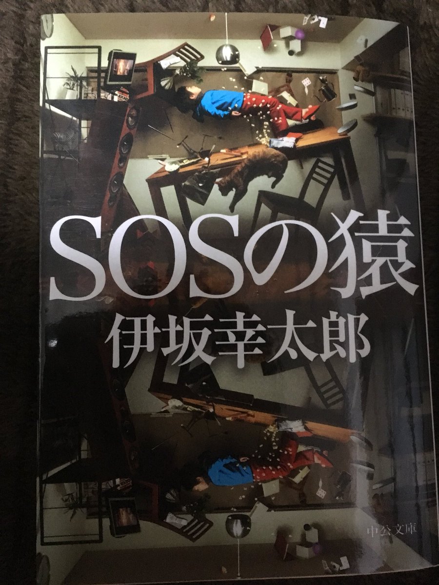 Sosの猿 Sosの猿
