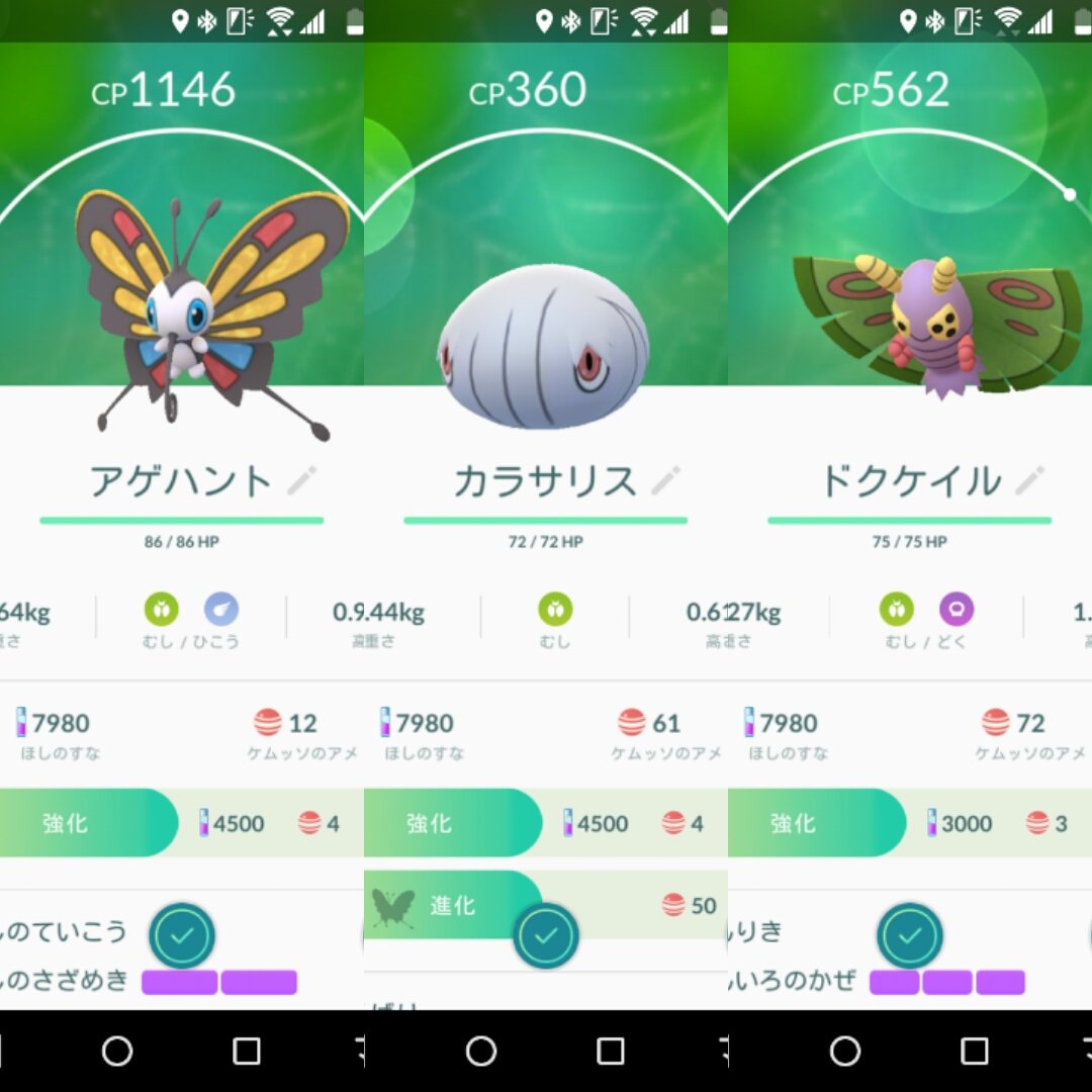 ケムッソの進化