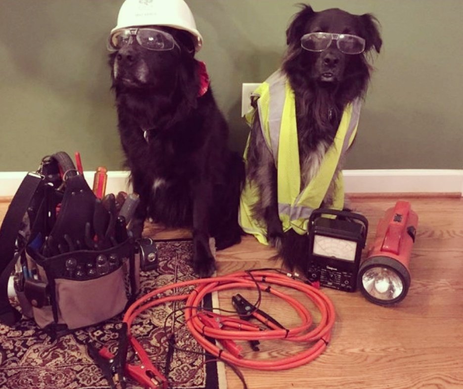 We've been a bit quiet whilst the dream team here are putting finishing touches to our Therapy Centre. We're so excited! #dogsoftwitter #SundayFunday #dog #caninehydrotherapy