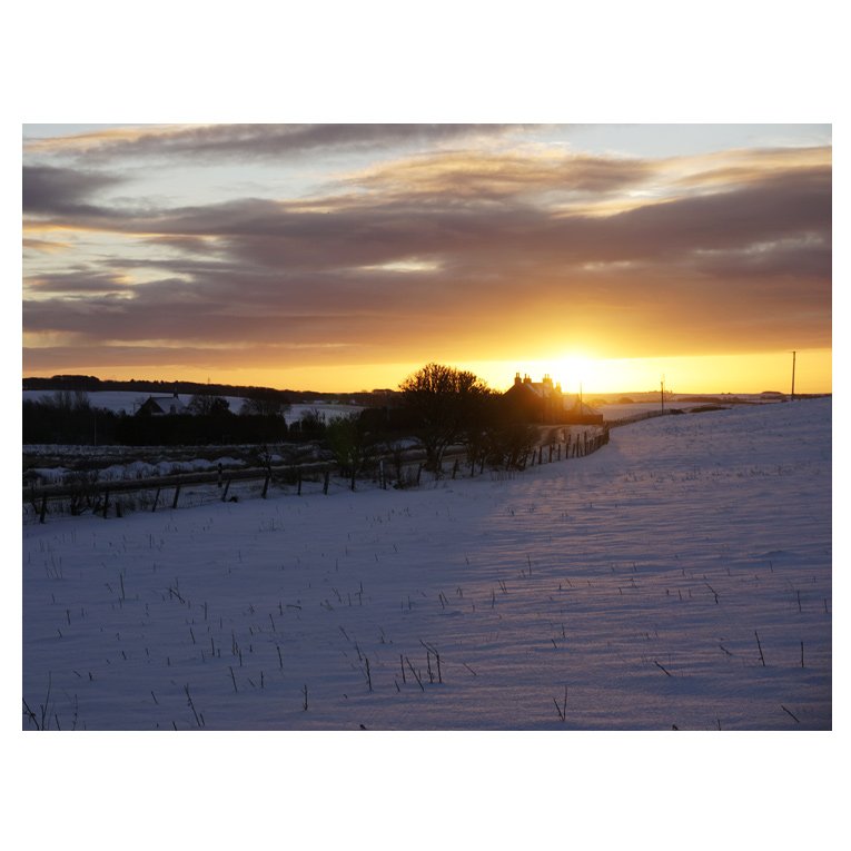 jcrennie1798's tweet photo. Good morning from beautiful Aberdeenshire, the home of Milladen Mill 🌞
#Aberdeenshire #northeastScotland #MilladenMill #KnitRennie #RennieYarn #FamilyBusiness #Heritage #Since1798 #WinterSunrise https://t.co/jaBDYRD09R