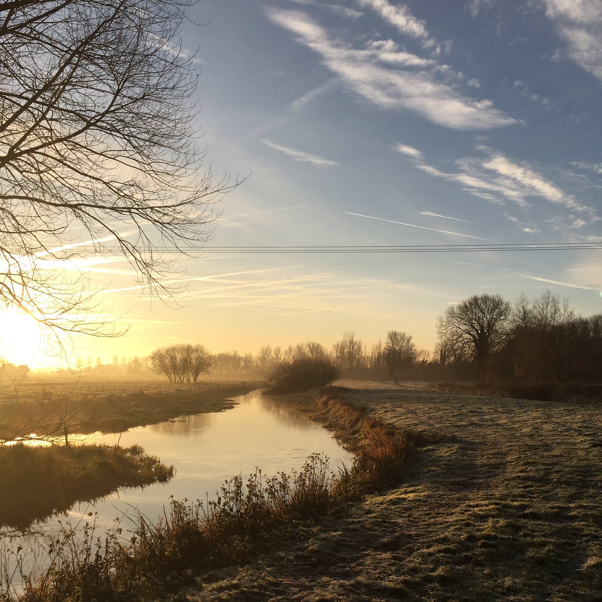 Emma Cook tweet media