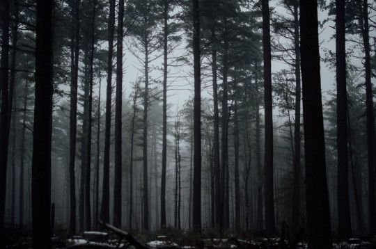 SeasonalFeels's tweet photo. https://t.co/mq02zNd2xv