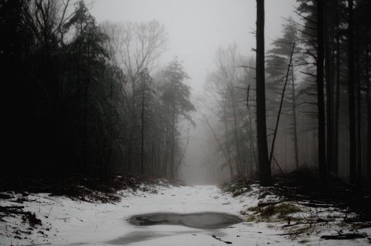SeasonalFeels's tweet photo. https://t.co/mq02zNd2xv