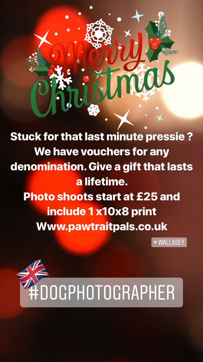 Pawtraitpals's tweet photo. Still stuck for the Perfect Gift 🎁 Know someone who loves their pet .... our vouchers start at £25 and include 1x 10x8 mounted print.  See website for details and check out our gallery at https://t.co/NBi2KQDx5J #wallasey #Wirral #merseyside https://t.co/Q4KSiNl3W3
