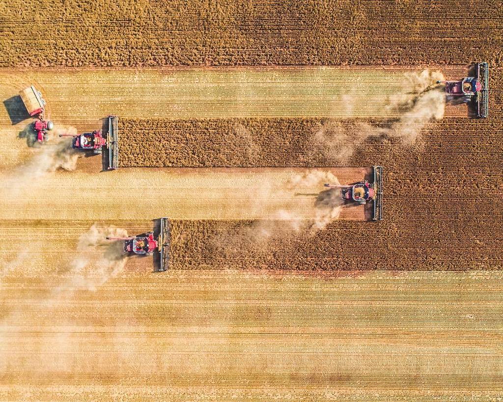 fareanddinkum's tweet photo. Chewing through it! #awesomefoursome #barlowag #agricultureaustralia #outbackaustralia #harvest17 #thankafarmer 📸Tag #fareanddinkum to feature! https://t.co/RAUzK579x4 https://t.co/M1jZSjMTI4 https://t.co/D4xvHvWeef
