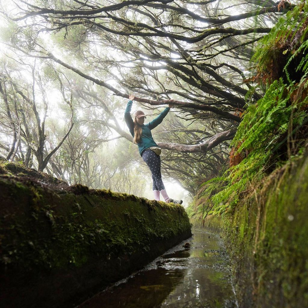 OneDayStop's tweet photo. Hiking on "levadas", irrigation channels on Madeira, sometimes is a walk on cliff's edge and sometimes it reminds a path through a different, misty and scary world. We are in the heart of laurel forest, which has been unchanged... for almost 6 milion yea… https://t.co/91oZsNzAYX https://t.co/sfPyafMtkb