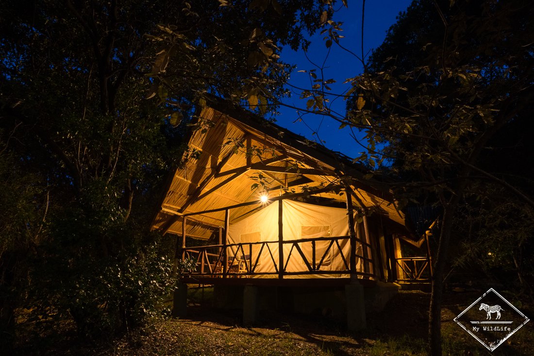 BlogMyWildlife's tweet photo. #KENYA J'ai testé le Sentrim Mara Camp à Masaï Mara au Kenya : un lodge abordable pour explorer l'est de la réserve https://t.co/ew7mHe87YH 🦓🦁🐾🐘
#Lodge #Sentrim #MasaiMara https://t.co/unFxJI0bGf
