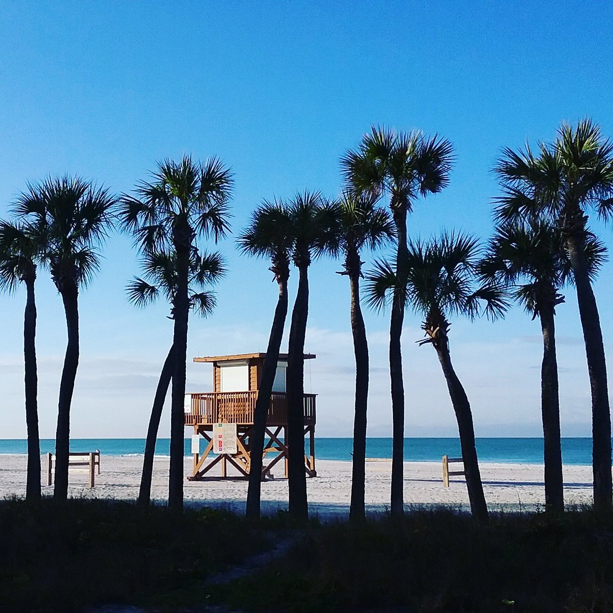 EditorAnnaMaria's tweet image. If you need a little beach time on #AnnaMariaIsland, share the love.

#loveannamaria #LoveFL #SaltLife #beach @VISITFLORIDA @VisitBradenton #vacation