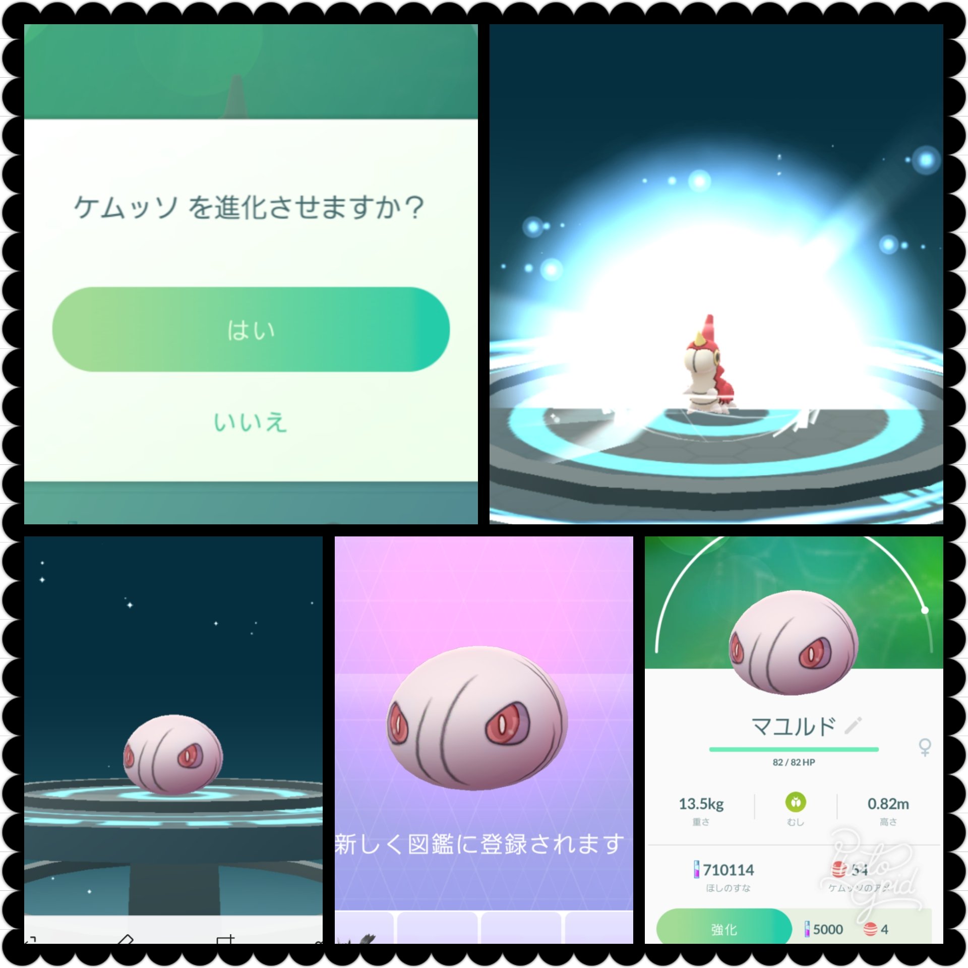 どんちゃん Twitter પર ケムッソを進化させてみた カラサリスとマユルドに進化 カラサリスとマユルドも進化させてみた アゲハントとドクゲイルに進化 ポケモンgo ポケモン ケムッソ マユルド カラサリス アゲハント ドクゲイル どんちゃん Twitter પર ケムッソを進化させてみた カラサリスとマユルドに進化 カラサリスとマユルドも進化させてみた アゲハントとドクゲイルに進化 ポケモンgo ポケモン ケムッソ マユルド カラサリス アゲハント ドクゲイル
