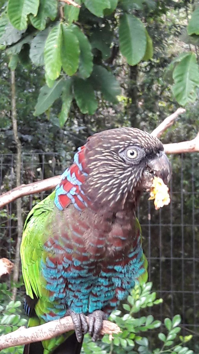 Um belo domingo a todos !