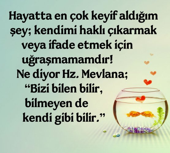 _Ber_ces_te's tweet photo. Hayatta en çok keyif aldığım şey; kendimi haklı çıkarmak veya ifade etmek için uğraşmamamdır! Ne diyor Hz.#Mevlana ; Bizi bilen bilir, bilmeyen de kendi gibi bilir. https://t.co/ACRN992ACc