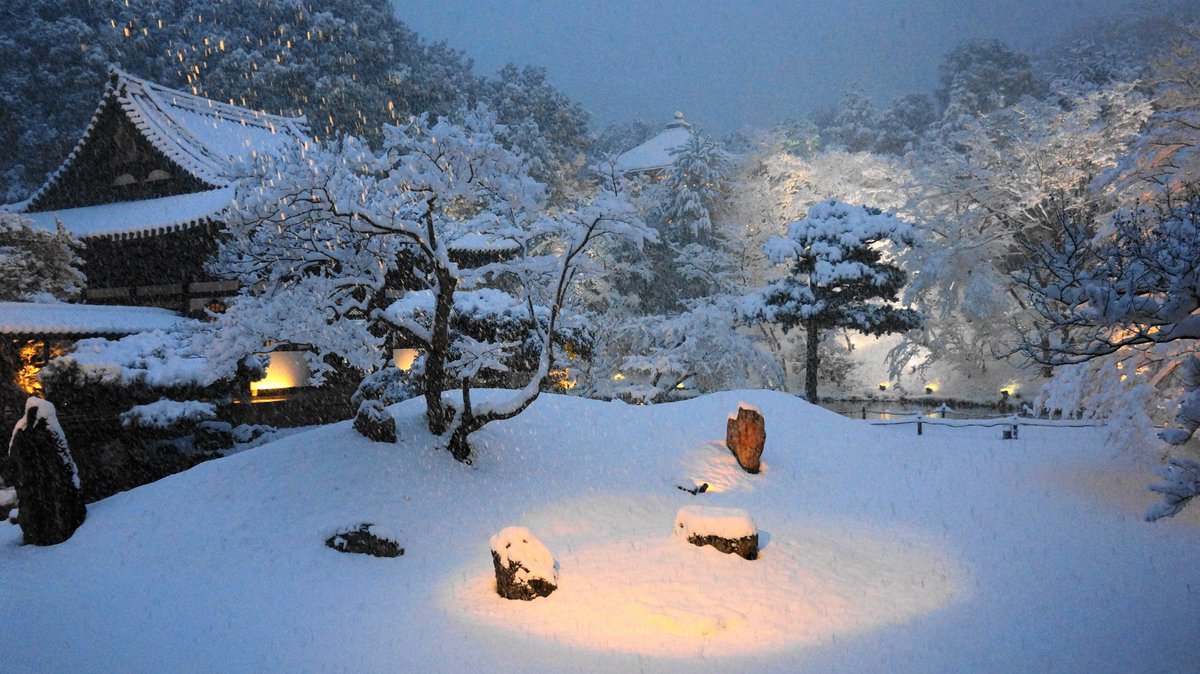 京都もよう Kyoto Moyou 高台寺 雪 白銀の庭園と圧巻の冬景色 T Co 5vxa6qki5x 過去写真 過去記事の紹介です 高台寺 京都 Kyoto 竹林 雪 雪景色 冬 冬景色 雪の京都 京都の雪 京都雪 京都の冬 京都冬 冬の京都 雪の