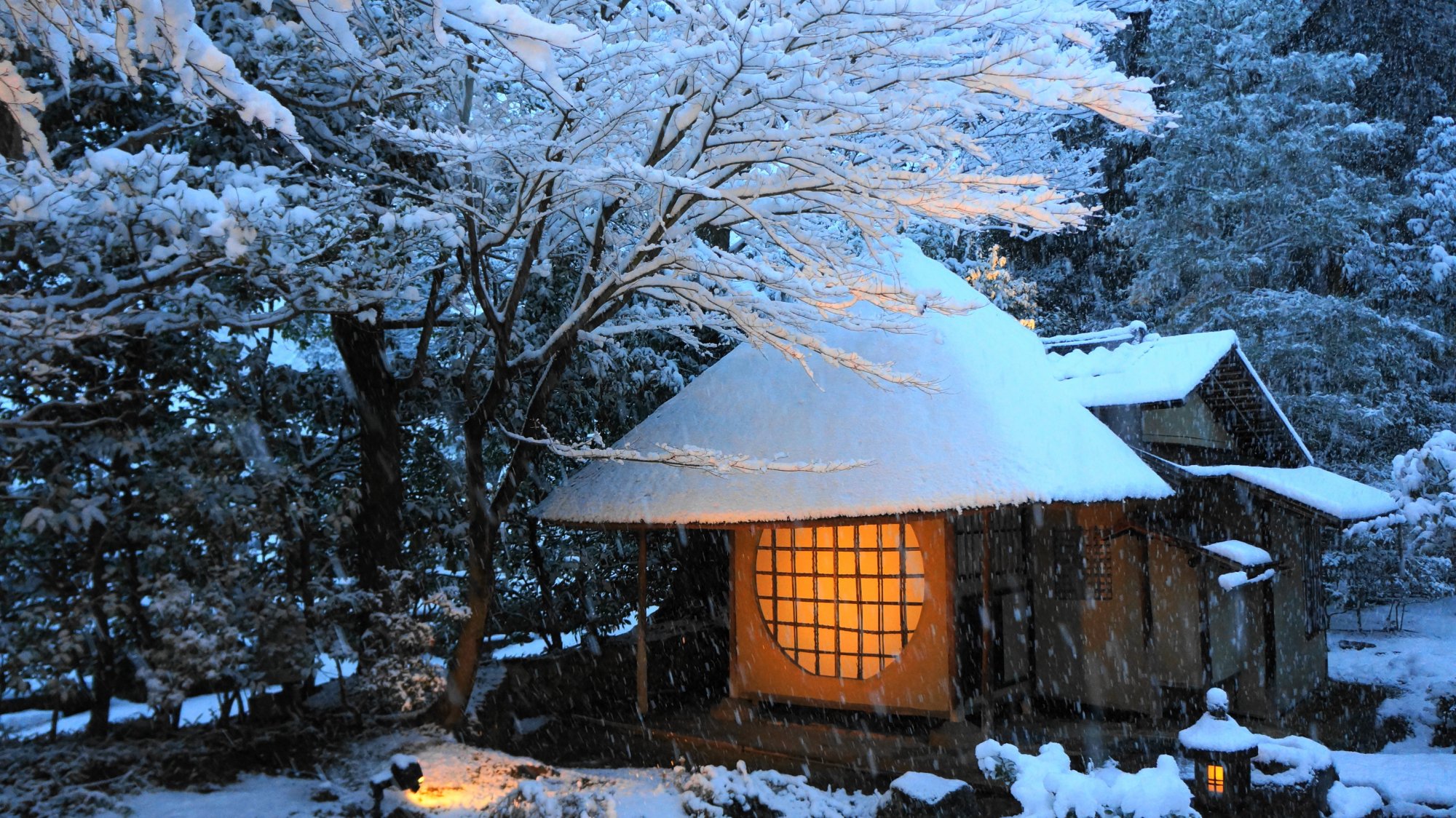 京都もよう Kyoto Moyou 高台寺 雪 白銀の庭園と圧巻の冬景色 T Co 5vxa6qki5x 過去写真 過去記事の紹介です 高台寺 京都 Kyoto 竹林 雪 雪景色 冬 冬景色 雪の京都 京都の雪 京都雪 京都の冬 京都冬 冬の京都 雪の