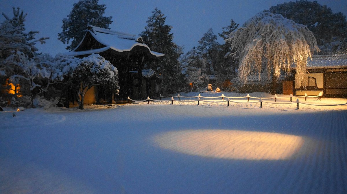 雪の庭園 雪の庭園