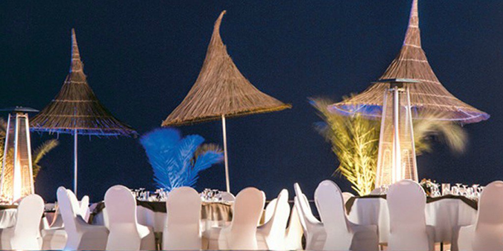 Terrou-Bi tweet media