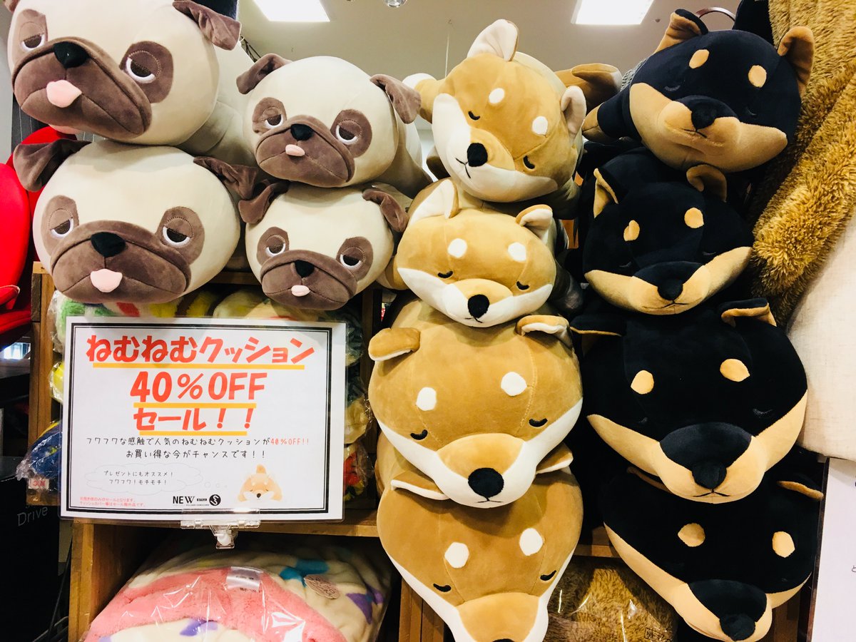 ジャケット 知り合い 茎 抱き 枕 コテツ Live With A Pet Minatoku Edition Com ジャケット 知り合い 茎 抱き 枕 コテツ Live With A Pet Minatoku Edition Com