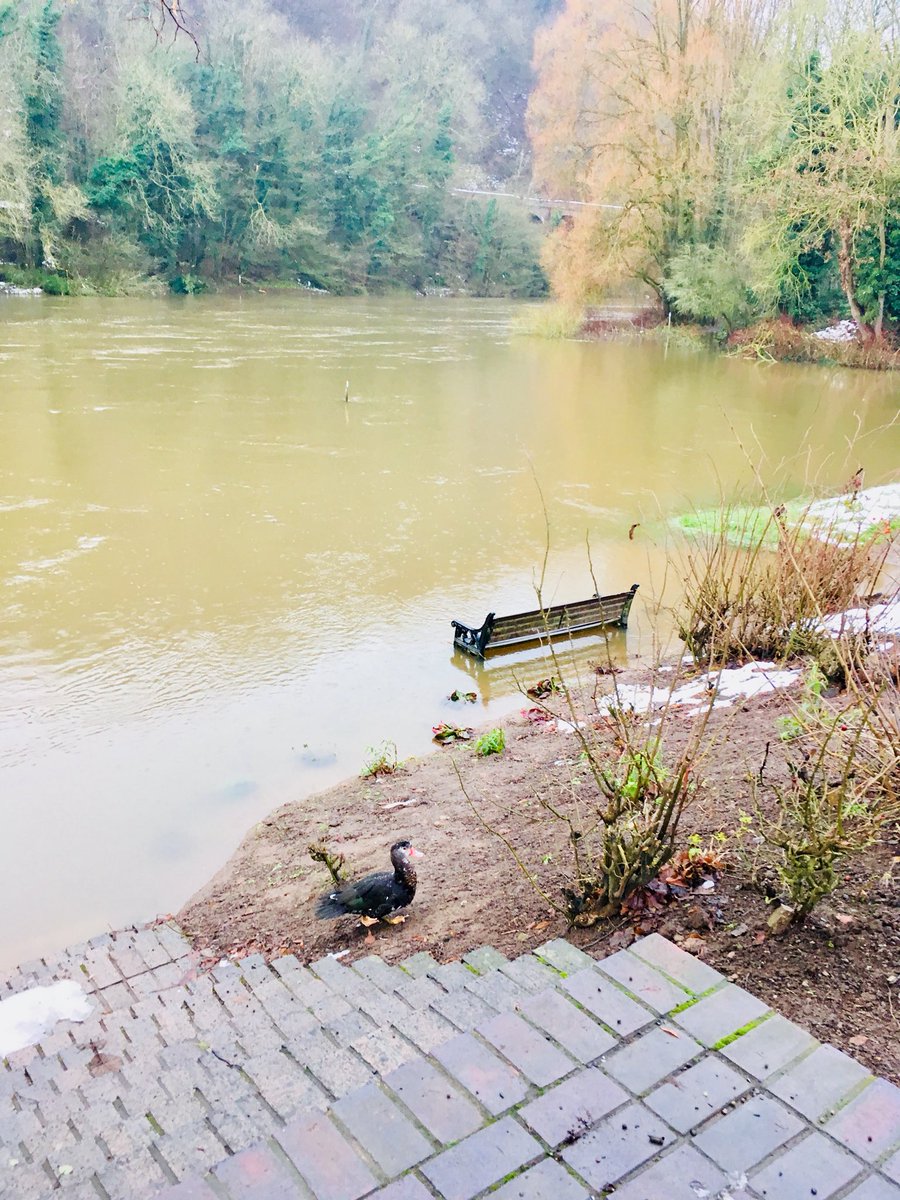 minichaser's tweet photo. Lovely morning for a sit in the river... 😂 #Ironbridge #RiverSevern https://t.co/bnByE1I2Pi