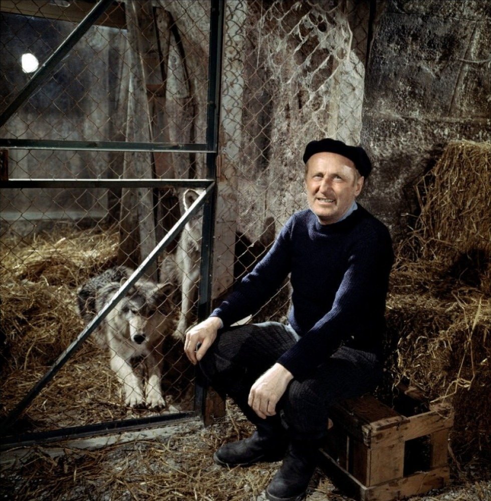 Film L Arbre De Noël Avec Bourvil TÉLÉCHARGER ARBRE DE NOEL BOURVIL