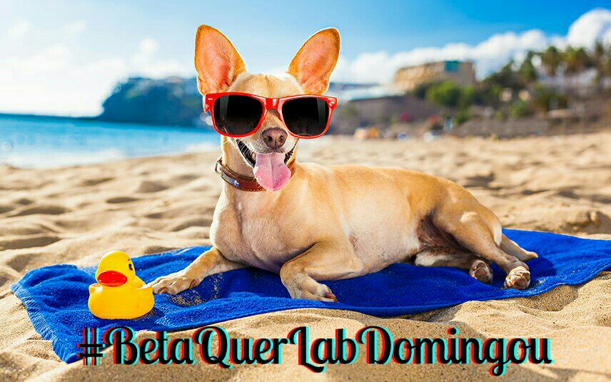 📌#BetaQuerLab 
📌#BetaQuerLabDomingou