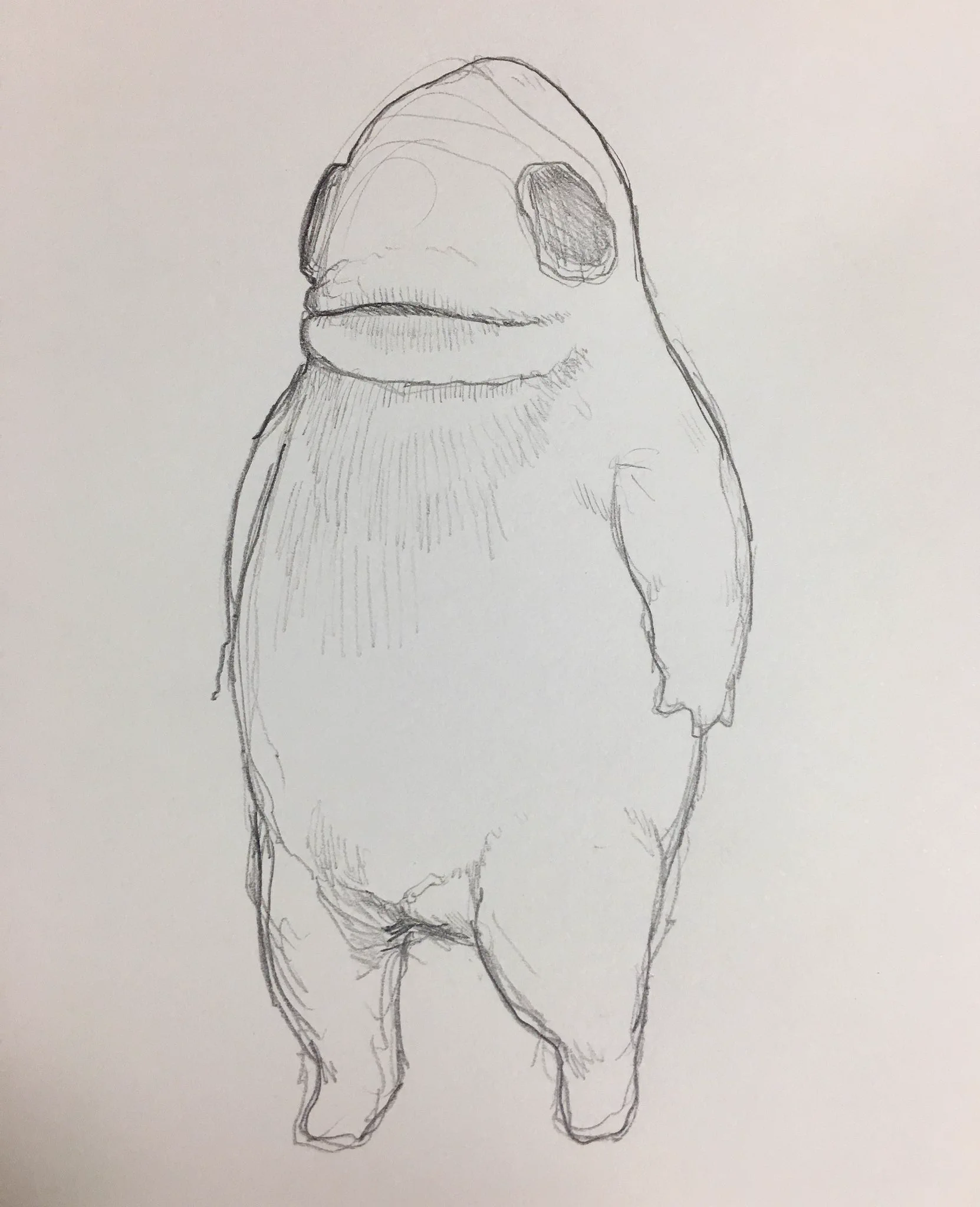 パグの後ろ姿を見ると？謎の化け物に見えて怖いｗｗｗ