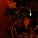 Photo by Christmas Tree (@awakeinbeds)