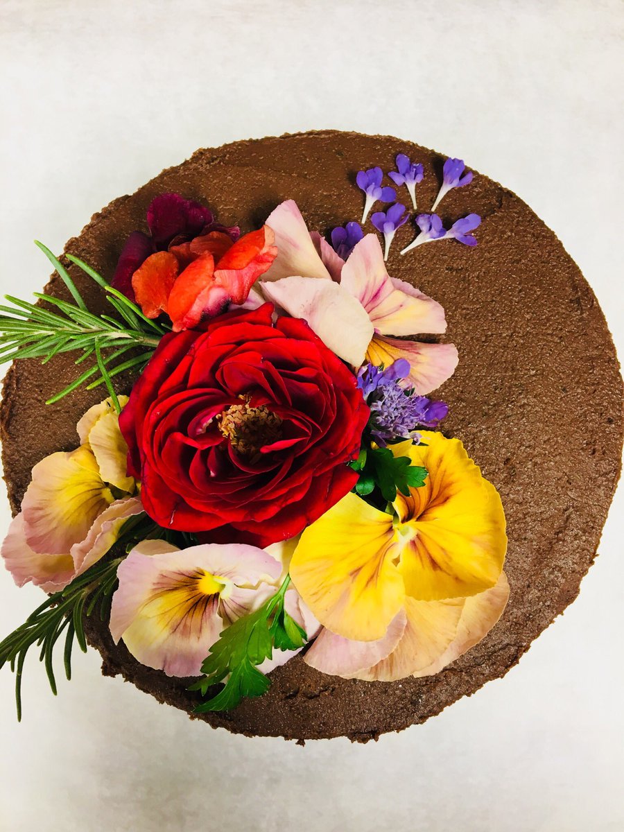 TreasEarthFoods's tweet photo. Beautiful completely healthy cake! Frosting contains 7 fruits and vegetables. 🥕🥗🍎 https://t.co/YbI1YMDAOt