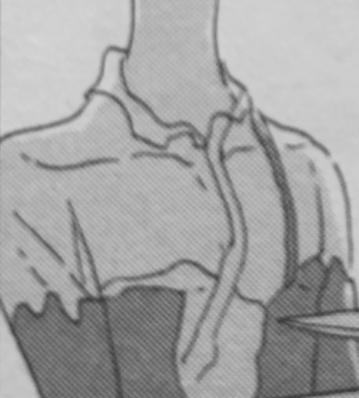 やおらさんのツイート 宝石の国のパパラチア登場回で衝撃を受けたのはボタンが初めて描かれていて しかも左側についてたから 寝間着はみんな左前なんだけど 喪服のような制服の対で死装束がモチーフだろうから気にならなかった ユークレースや