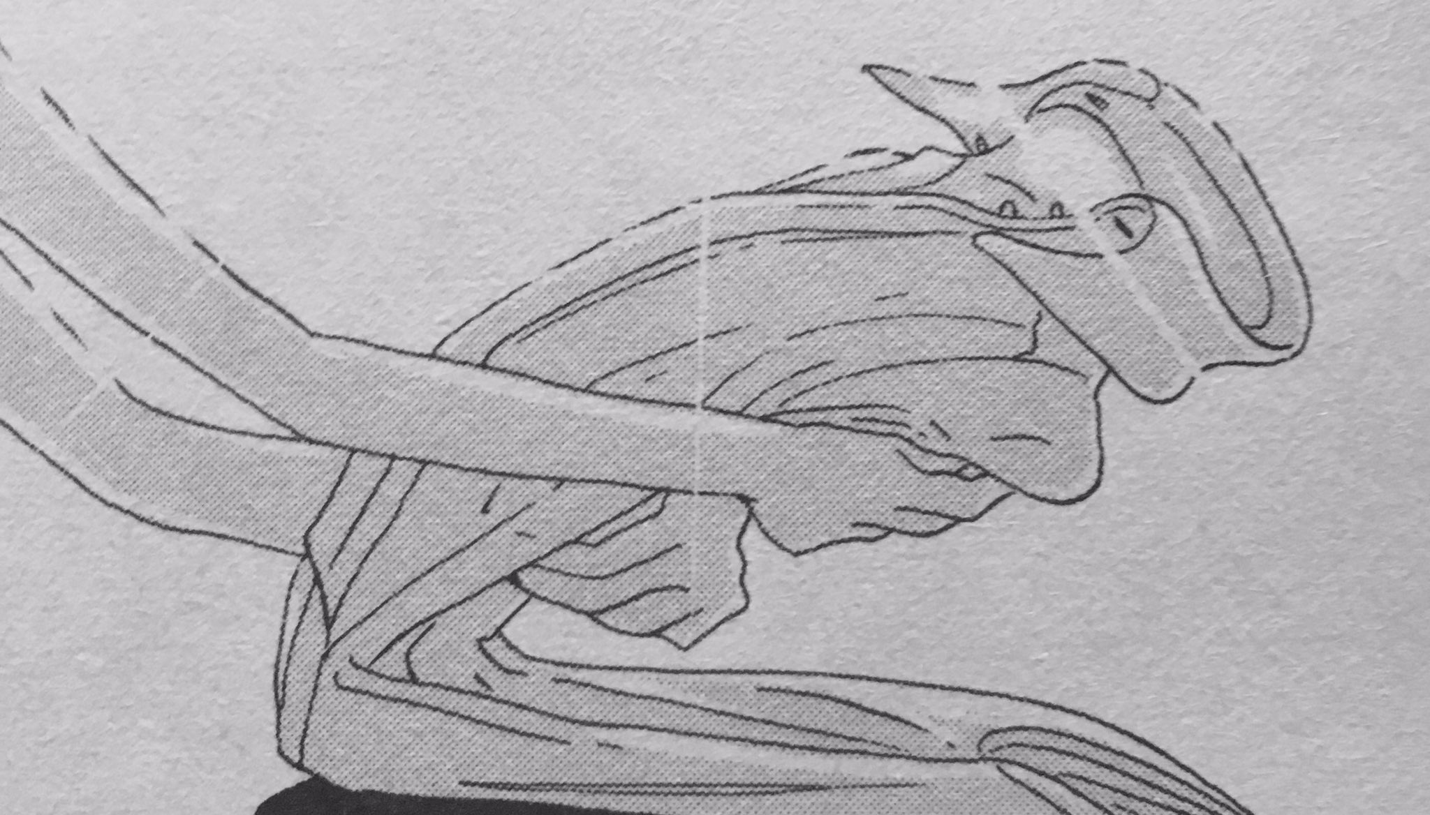 やおらさんのツイート 宝石の国のパパラチア登場回で衝撃を受けたのはボタンが初めて描かれていて しかも左側についてたから 寝間着はみんな左前なんだけど 喪服のような制服の対で死装束がモチーフだろうから気にならなかった ユークレースやフォスのシャツは右前