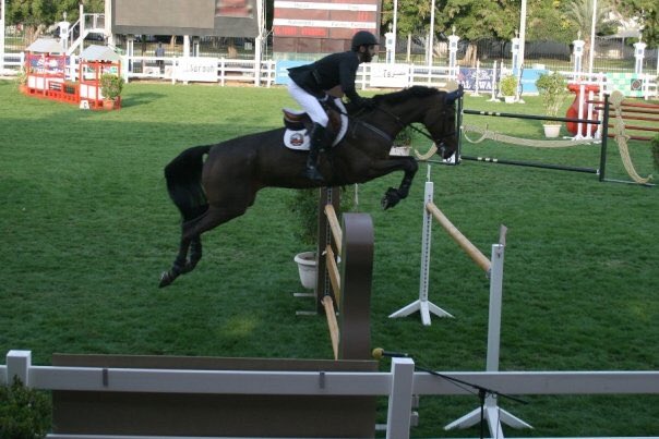 YahStables's tweet photo. Call +971-50-621-2274

#uae #inabudhabi #dubai #ae #AbuDhabi #ad #horses #showjumping #cavallo #mydubai #hsj #sj #shj #instaphoto #showjumping #showjumper #equestrian #horsesofinstagram #horses #mylove https://t.co/75qSr1wxpZ