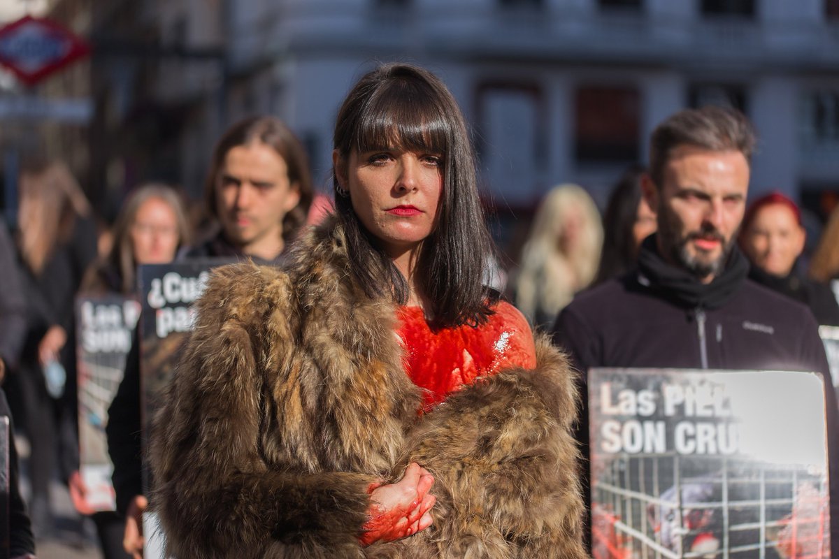AnimaNaturalis's tweet photo. Activistas de @AnimaNaturalis se toman la plaza de Callao (Madrid) para protestar contra el uso de pieles de animales #UsaMiPelo #PielEsMuerte #NoFur https://t.co/kOv3y69MM0